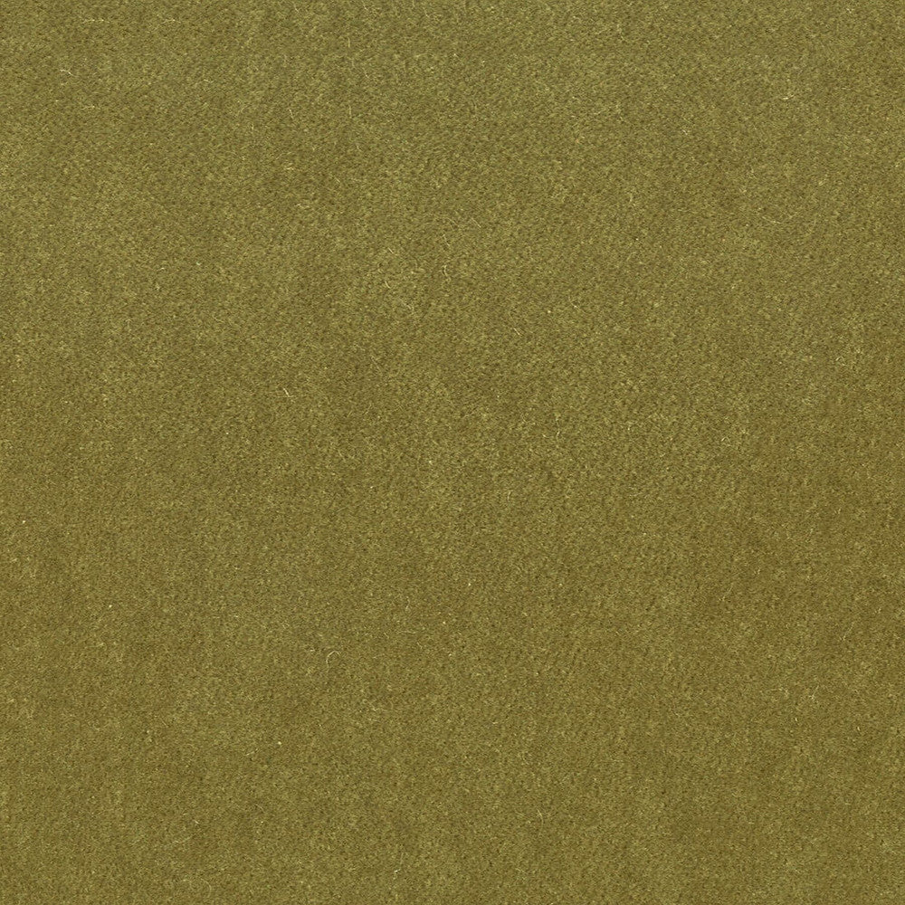 Moore 29 Chive by Stout Designer Fabric TIMELESS VELVETS 82%POL 18%COT SOUTH KOREA FLAME RETARDANT-U.F.A.C. CLASS 1 CATB 117-2013 WYZENBEEK 20 000 DOUBLE RUB WEAR TEST (HEAVY DUTY) Horizontal: 0 and Vertical: 0 54.75 in - Swanky Fabrics -