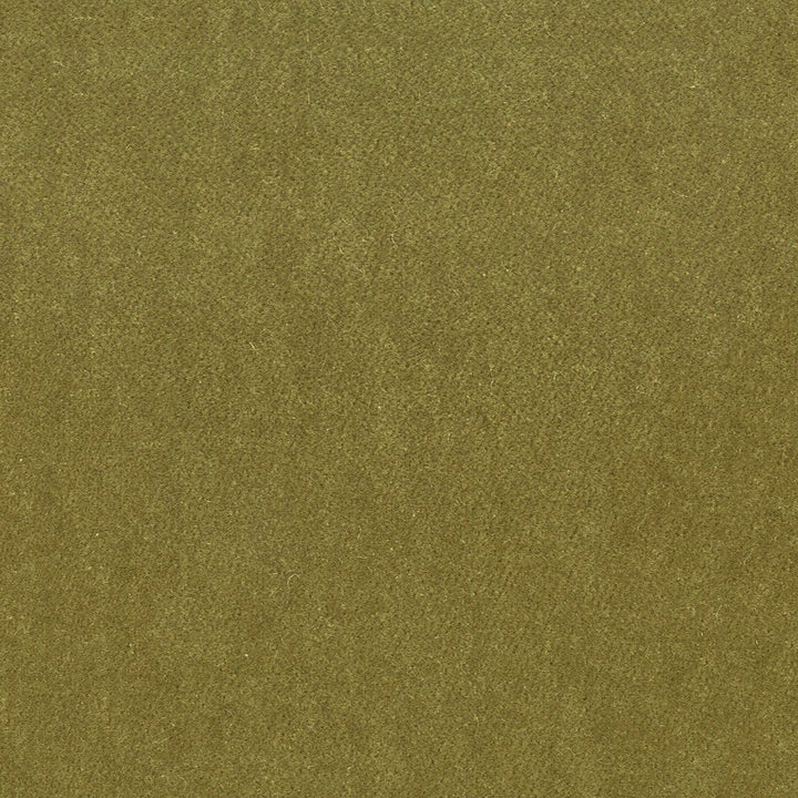 Moore 29 Chive by Stout Designer Fabric TIMELESS VELVETS 82%POL 18%COT SOUTH KOREA FLAME RETARDANT-U.F.A.C. CLASS 1 CATB 117-2013 WYZENBEEK 20 000 DOUBLE RUB WEAR TEST (HEAVY DUTY) </p><p>Repeat: 0 54.75 in - Swanky Fabrics -