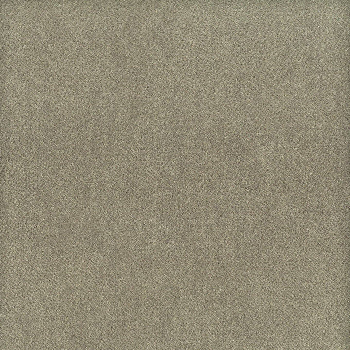 Moore 34 Nickel by Stout Fabric Stout Fabric Moore 34 NickelFabric TIMELESS VELVETS SOUTH KOREA </p><p>Repeat: H: 0.000, V: 0.000 54.75 in - Fabric Carolina -