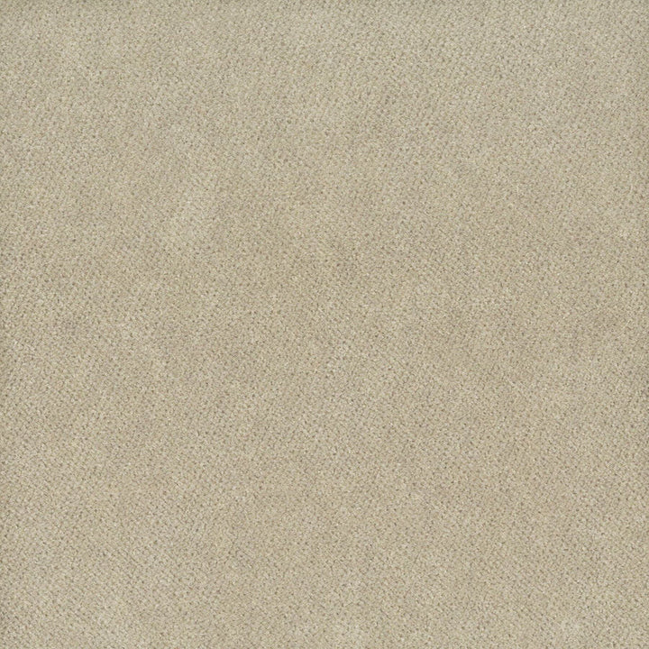 Moore 35 Dove by Stout Designer Fabric TIMELESS VELVETS 82%POL 18%COT SOUTH KOREA FLAME RETARDANT-U.F.A.C. CLASS 1 CATB 117-2013 WYZENBEEK 20 000 DOUBLE RUB WEAR TEST (HEAVY DUTY) Horizontal: 0 and Vertical: 0 54.75 in - Swanky Fabrics -