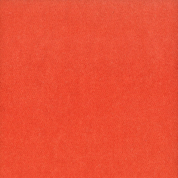 Moore 36 Tigerlily by Stout Designer Fabric Timeless Velvets 82% Polyester 18% Cotton SOUTH KOREA FLAME RETARDANT-U.F.A.C. CLASS 1 (OR A) CATB 117-2013 WYZENBEEK 20 000 DOUBLE RUB WEAR TEST (HEAVY DUTY) Horizontal: 0 and Vertical: 0 54.75 in - Swanky Fabrics -