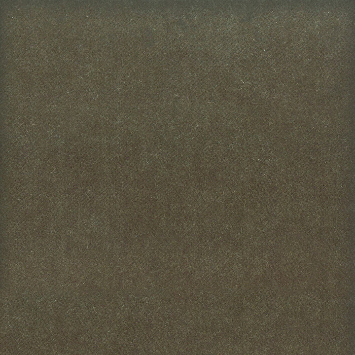 Moore 8 Shadow by Stout Designer Fabric TIMELESS VELVETS 82%POL 18%COT SOUTH KOREA FLAME RETARDANT-U.F.A.C. CLASS 1 CATB 117-2013 WYZENBEEK 20 000 DOUBLE RUB WEAR TEST (HEAVY DUTY) </p><p>Repeat: 0 54.75 in - Swanky Fabrics -