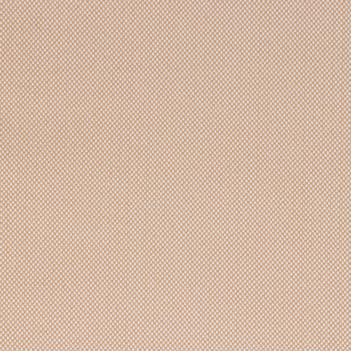 Morada Camel by Bella-Dura Designer Fabric  100% BELLA DURA POLYOLEFIN USA 70000 H: N/A V: N/A 53.5''  - Swanky Fabrics -