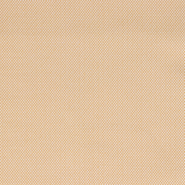 Morada Golden by Bella-Dura Designer Fabric  100% BELLA DURA POLYOLEFIN USA 70000 H: N/A V: N/A 53.5''  - Swanky Fabrics -