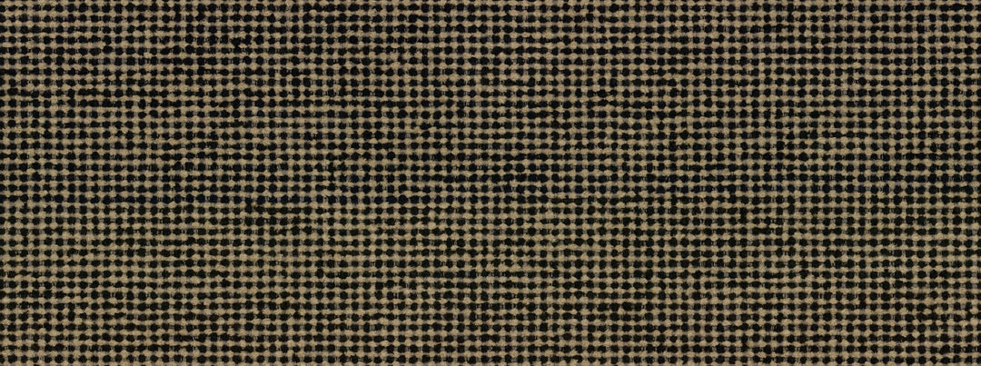 Motley 936 Black/Tan by Covington Designer Fabric