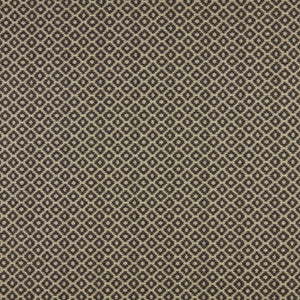 Marcus William Fabric Moya 1 Charcoal