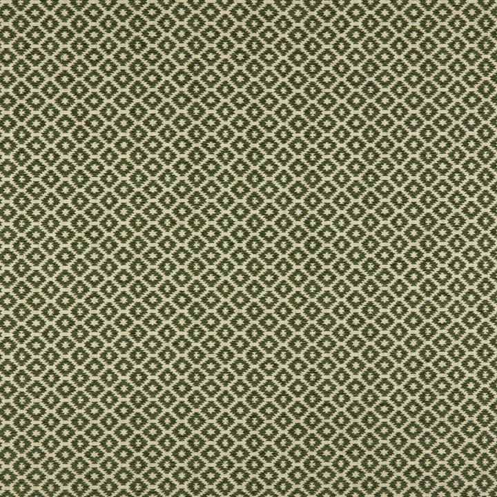Moya 2 Moss by Marcus William Fabric Marcus William Fabric Moya 2 MossFabric KAI/MARCUS WILLIAM MAJORELLE 56%POL 44%COT INDIA </p><p>Repeat: H: 1.500, V: 1.125 55 in - Fabric Carolina -