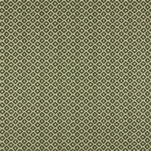 Marcus William Fabric Moya 2 Moss