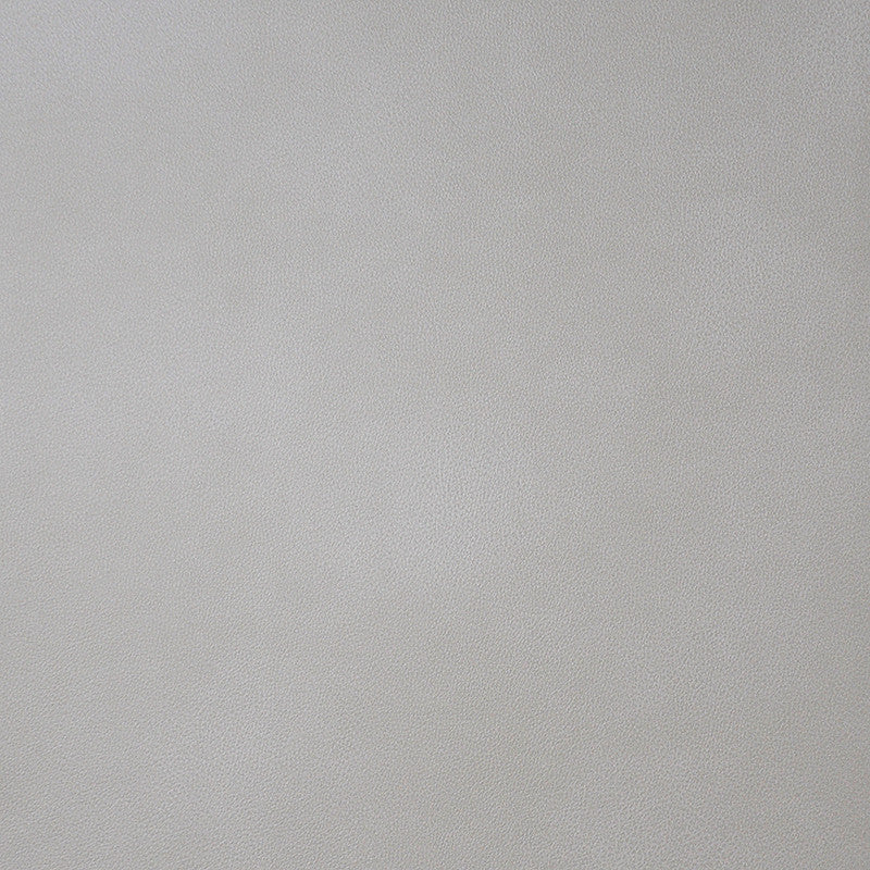 Monaco # 01 Alabaster by Maxwell Designer Fabric Easy Rider Iii 100% POLYURETHANE CHINA 54" - Swanky Fabrics -