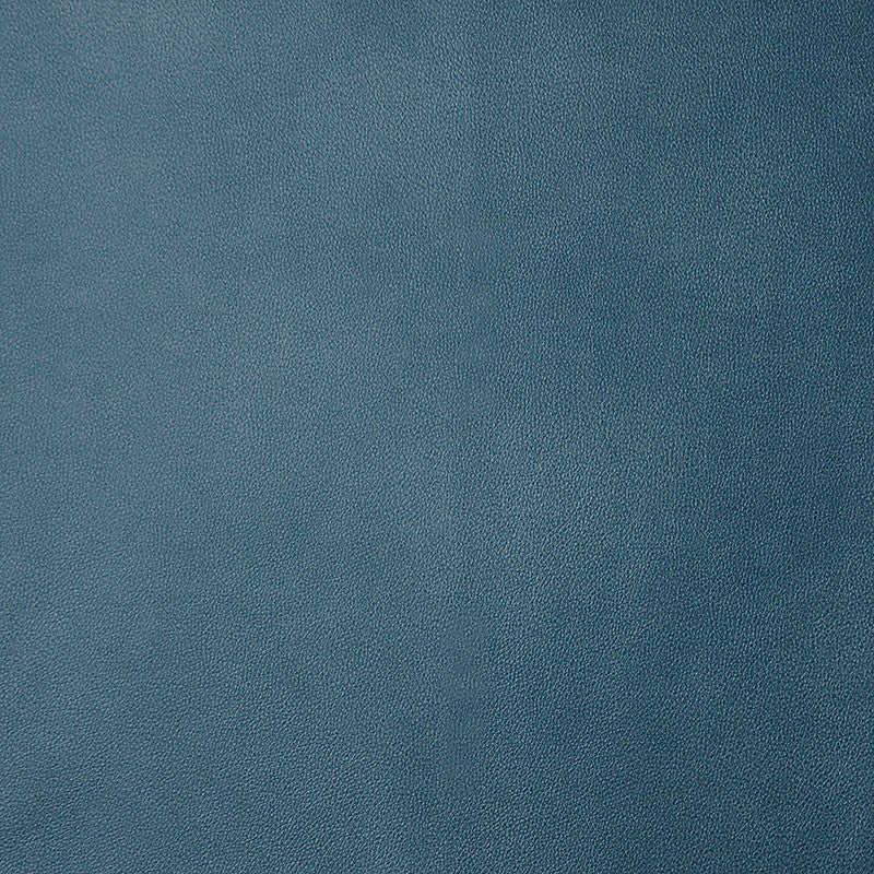 Monaco # 53 Sodalite by Maxwell Designer Fabric Easy Rider Iii 100% POLYURETHANE CHINA 54" - Swanky Fabrics -