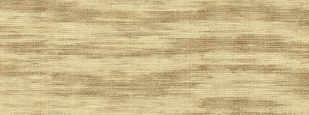 Mulberry 1 Honey Beige by Covington Designer Fabric
