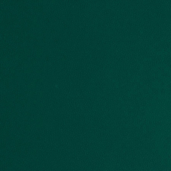 Matinee # 744 Pine by Maxwell Designer Fabric Easy Rider Vii FACE: 100% POLYURETHANE
BACKING: 100% POLYESTER CHINA 54" - Swanky Fabrics -