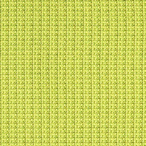 Crypton Fabric Motto Lizard