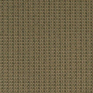 Crypton Fabric Motto Mud Bath