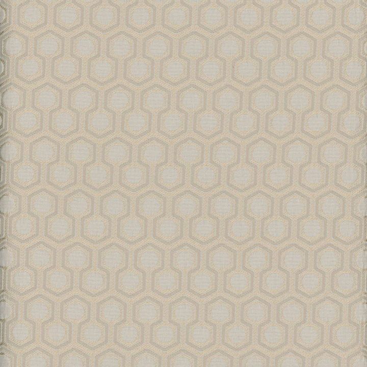Murray Champagne by Heritage Designer Fabric - 100% Polyester USA or Imported Horizontal: and Vertical: 54" - Swanky Fabrics -