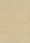 Seabrook Designs Wallpaper Sisal Neutrals NA206