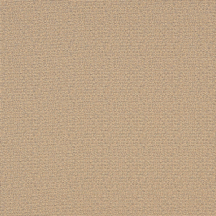 Napanee 94J7031 by JF Crypton Designer Fabric Crypton Binder 100% Polyester United States 50000 Horizontal: and Vertical: 54 - Swanky Fabrics -