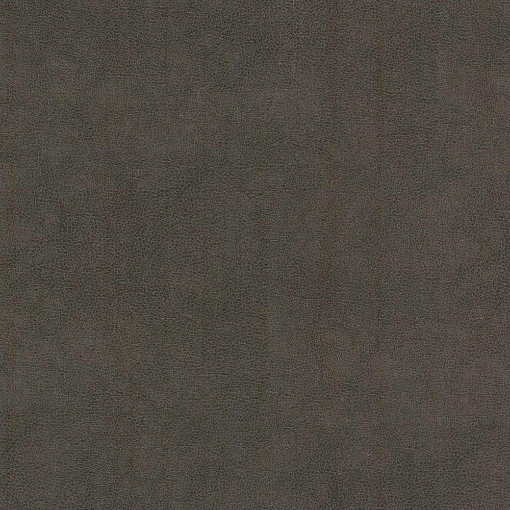 Narcissus 1 Shadow by Stout Designer Fabric LEATHER LOOKS V 100%POU 100%OTH CHINA Horizontal: 0.000 and Vertical: 0.000 54 in - Swanky Fabrics -