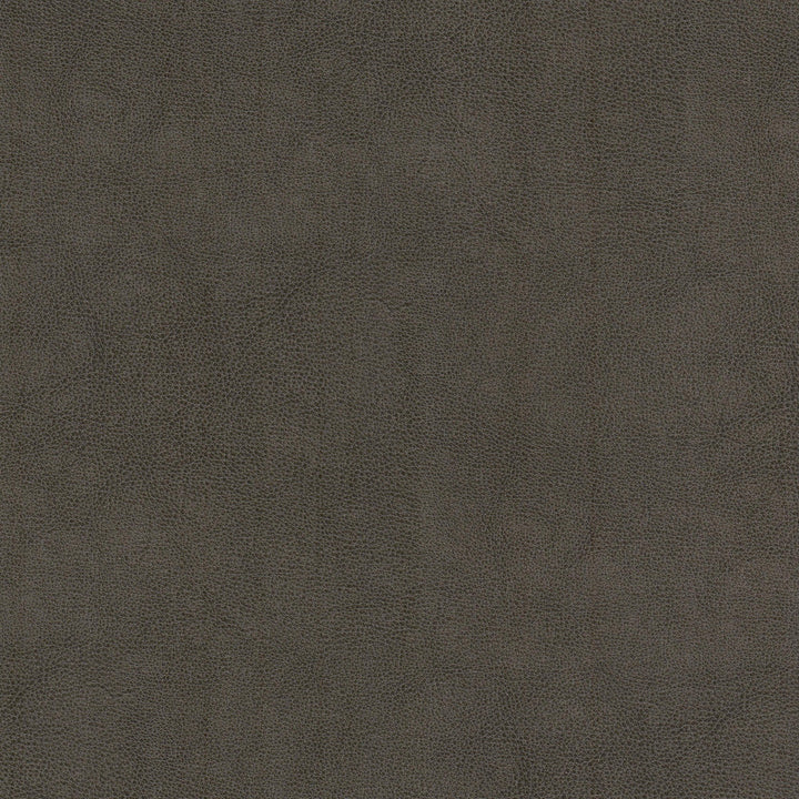 Narcissus 1 Shadow by Stout Designer Fabric LEATHER LOOKS V 100%POU 100%OTH CHINA Horizontal: 0.000 and Vertical: 0.000 54 in - Swanky Fabrics -