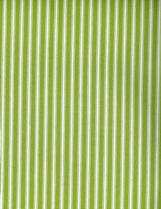 Native Kiwi 285 by Norbar Designer Fabric ARCADE 100% COTTON 1/2"H 55 - Swanky Fabrics -