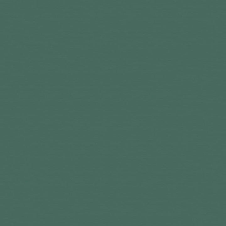 Nauga Soft 45 Mint Leaf by Naugahyde Designer Fabric N/A 100% Polyvinyl Chloride (PVC) US 1,000,000 Double Rubs </p><p>Repeat: Horizontal: and Vertical: 54" (137 cm) - Swanky Fabrics -