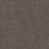 Maxwell Fabric Noonday-Nj # 1025 Graphite