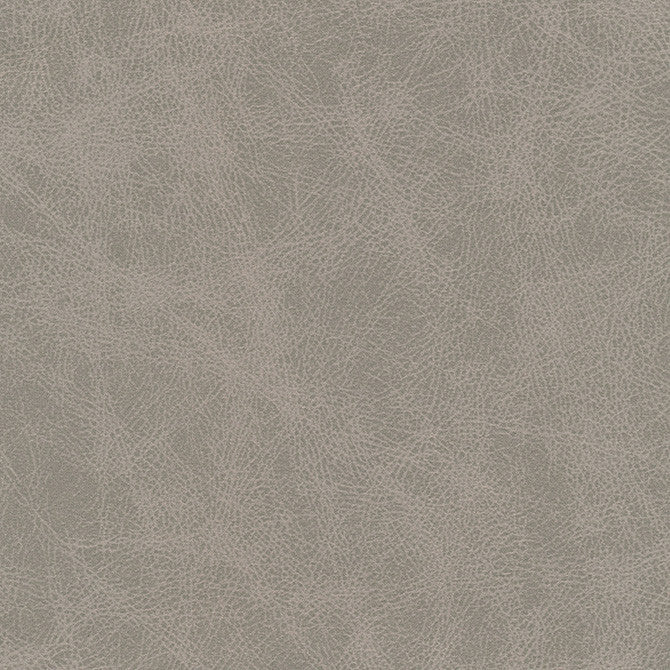 Noonday-Nj # 1029 Aluminum by Maxwell Designer Fabric Memos Only-Coated Fabrics FACE: 98% POLYESTER
2% SILICONE CHINA 54" - Swanky Fabrics -