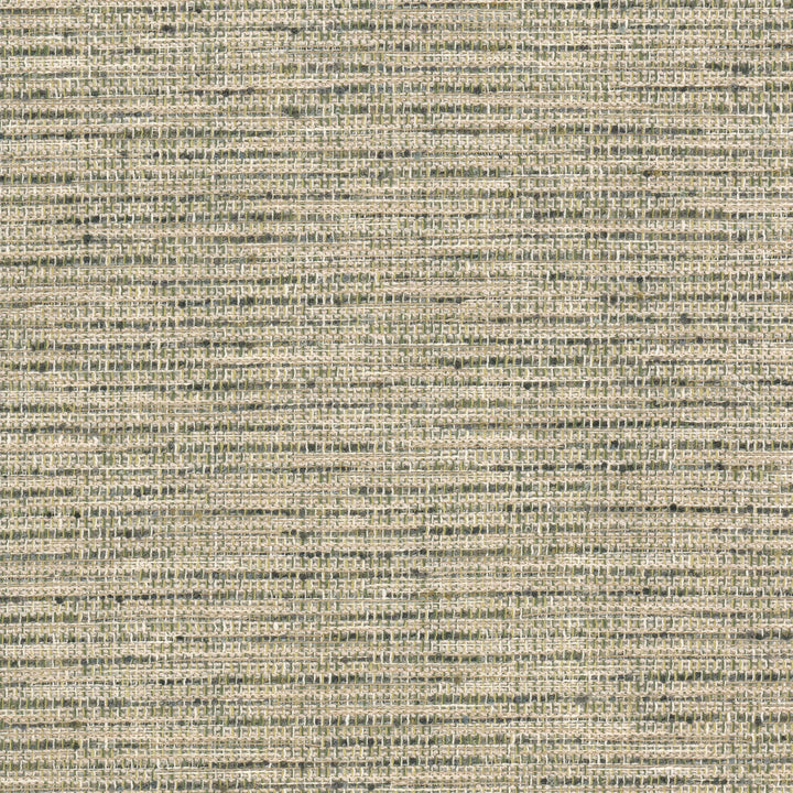 Neptune 1 Jungle by Stout Fabric Stout Fabric Neptune 1 JungleFabric COMFORTABLE LIVING SAGE/MOSS 76%POL 24%COT INDIA </p><p>Repeat: H: 0.000, V: 0.000 54 in - Fabric Carolina -