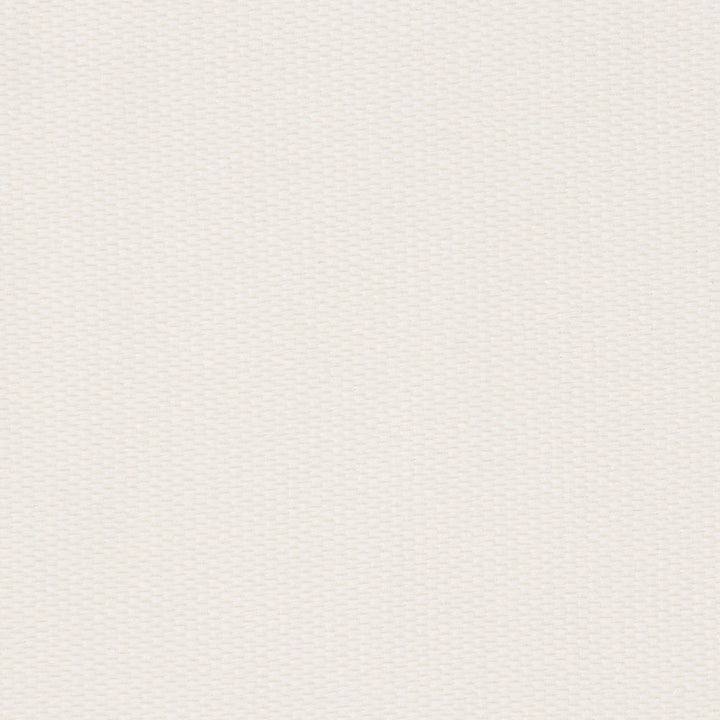 Neptune Ivory by Bella-Dura Designer Fabric  100% BELLA DURA POLYOLEFIN USA 70000 H: .375'' V: .125'' 53''  - Swanky Fabrics -
