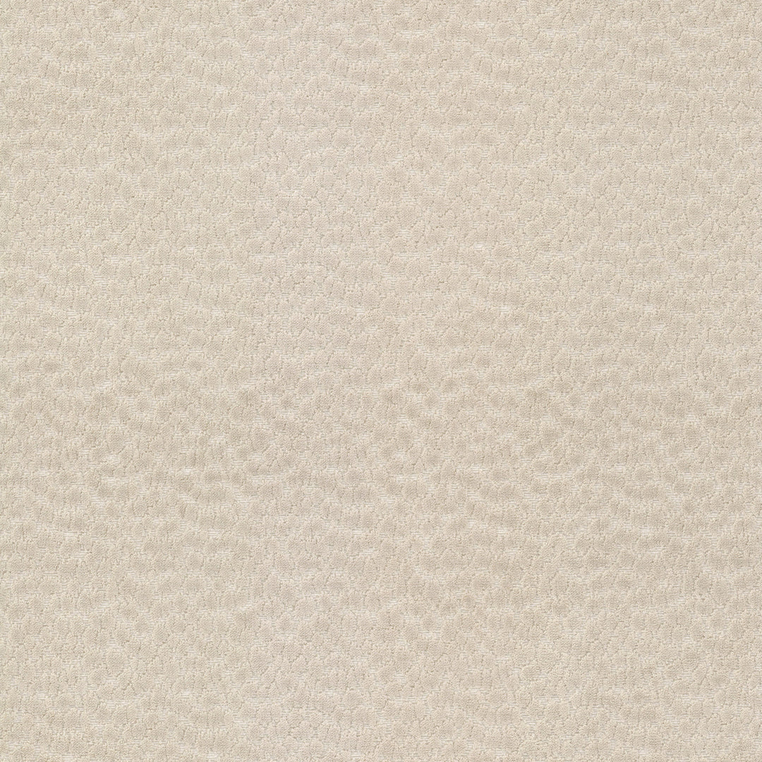 Never 2 Parchment by Stout Designer Fabric Never 2 Parchment by Stout Fabric RAINBOW LIBRARY SHELL/DRIFTWOOD 55%POL 45%SVI India FLAME RETARDANT-U.F.A.C. CLASS 1 CATB 117-2013 WYZENBEEK 51 000 DOUBLE RUB WEAR TEST (HEAVY DUTY) Horizontal: 3.5 and Vertical: 5.5 53 in - Fabric Carolina -