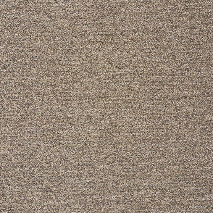 Newmarket 96J7031 by JF Crypton Designer Fabric Crypton Binder 100% Polyester China 50000 Horizontal: and Vertical: 54 - Swanky Fabrics -