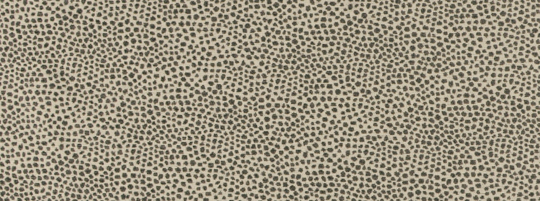 New Dotify 948 Charcoal by Covington Designer Fabric