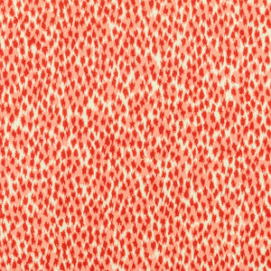 Stout Fabric Niagra 2 Firecracker
