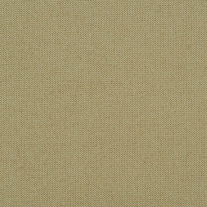 Niagara 74J7031 by JF Crypton Designer Fabric Crypton Binder 100% Polyester China 50000 Horizontal: and Vertical: 54 - Swanky Fabrics -