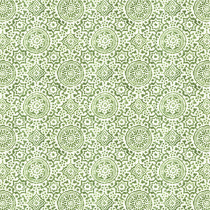 Stout Fabric Nipomo 1 Fern