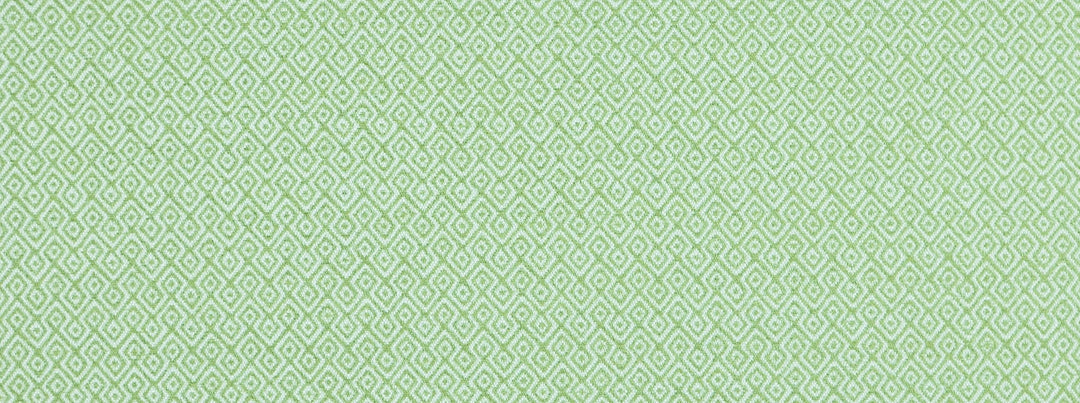 Nisha 206 Greenery by Covington Designer Fabric