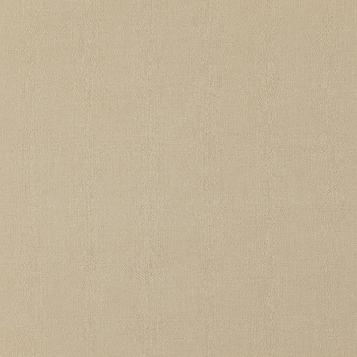 North 31J7881 by JF Designer Fabric Everyday Northeast 100% Polyester China 75000 Horizontal: and Vertical: 56 - Swanky Fabrics -