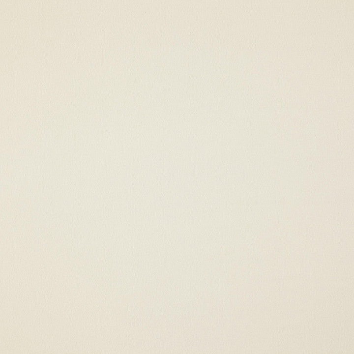 North 91J7881 by JF Designer Fabric Everyday Northeast 100% Polyester China 75000 Horizontal: and Vertical: 56 - Swanky Fabrics -