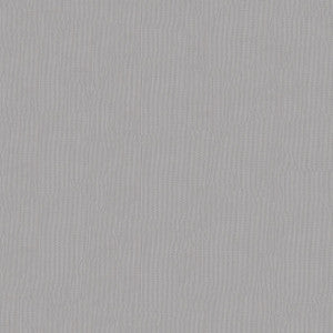 ABBEYSHEA Fabric No-see-um Net.54" 9 Char.Grey