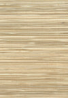 Seabrook Designs Wallpaper Boodle Brown NR127X