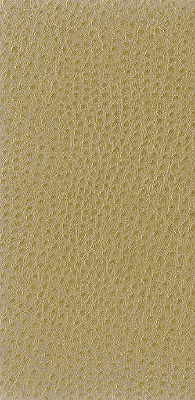 Kravet Basics Nuostrich-16 by Kravet Basics Fabric Kravet Basics Fabric Kravet Basics Nuostrich-16Fabric NYLON - 100% Japan </p><p>Repeat: H: 0, V: 0 54 - Fabric Carolina -