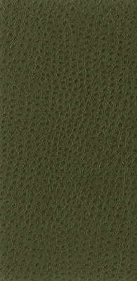 Nuostrich-30 by Kravet Basics Designer Fabric - NYLON - 100% Japan HEAVY Horizontal: 0 and Vertical: 0 54 - Swanky Fabrics -