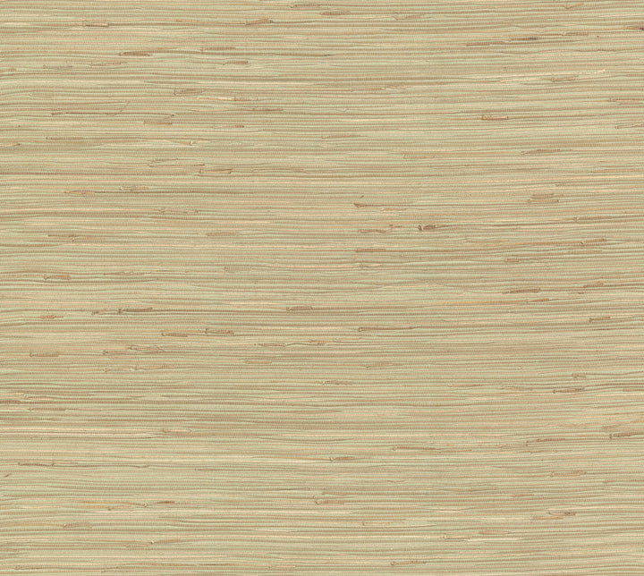River Grass Green Wallpaper by York Wallcoverings Designer Grasscloth II Covers about 72 square feet 36-in by 24-ft long roll Unpasted 0 - Swanky Fabrics -