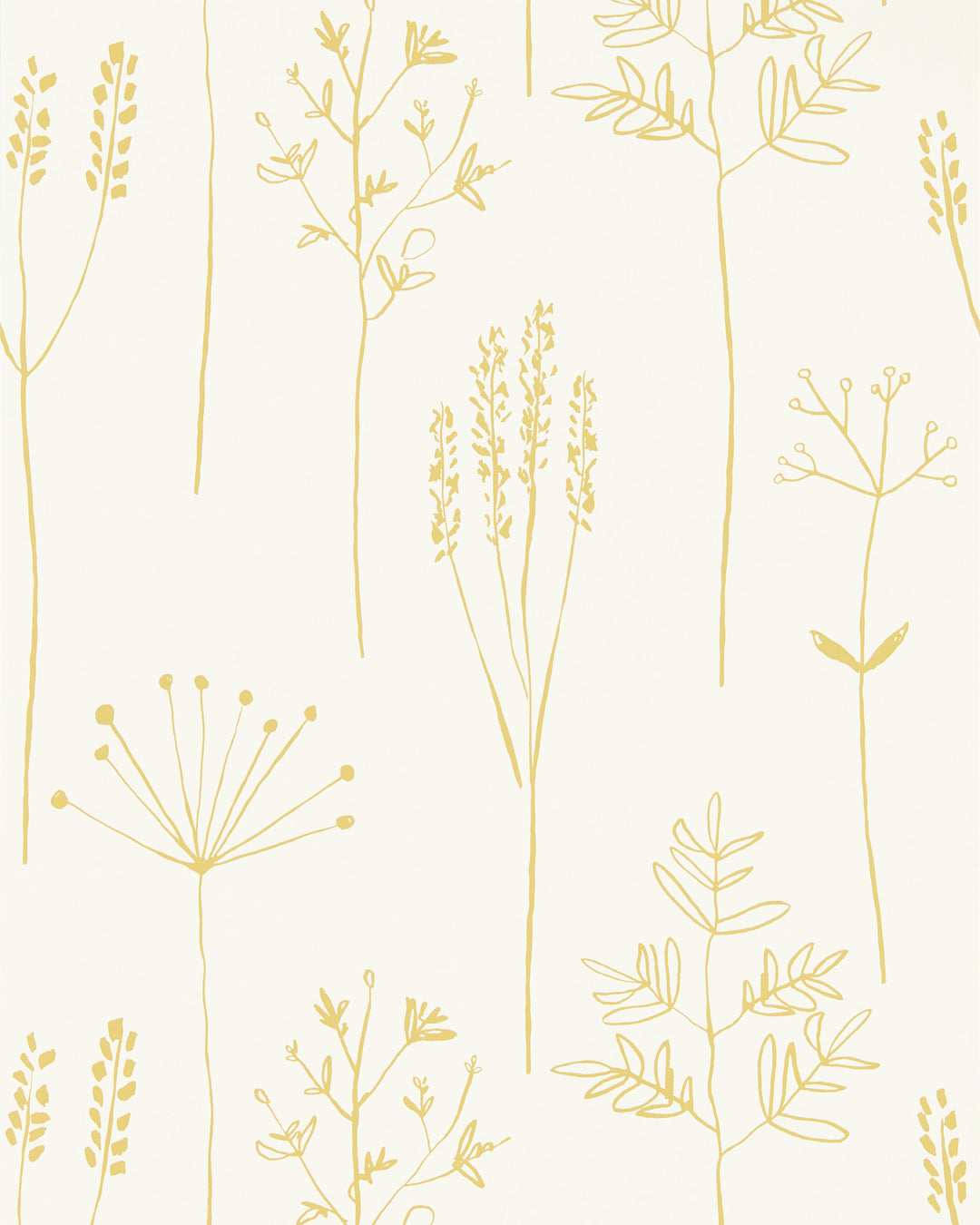 Scion Wallcovering Honey