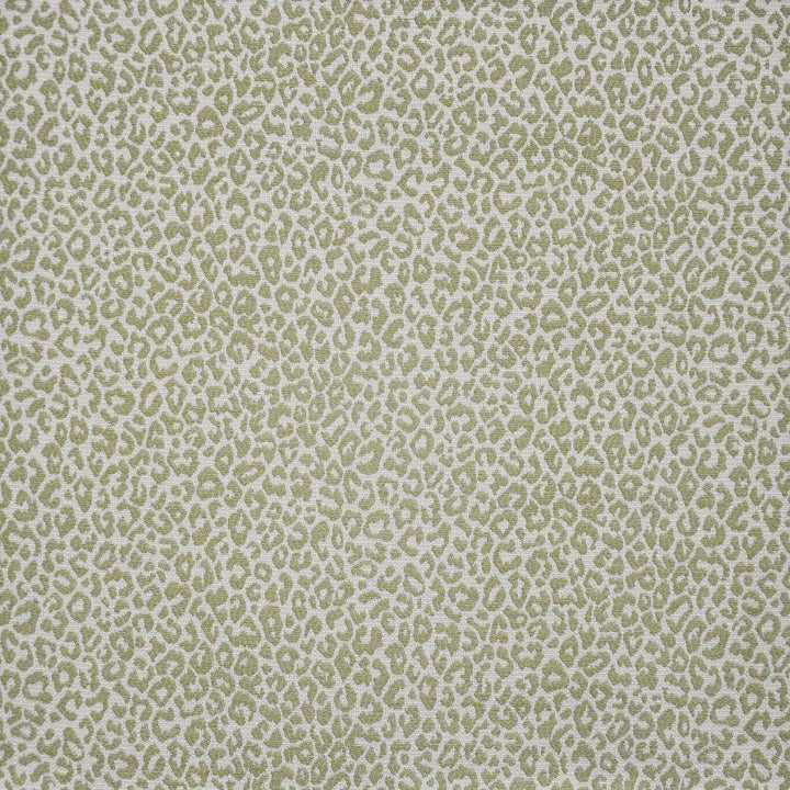 Osbourne # 247 Fern by Maxwell Designer Fabric Upholstery Palettes-Laguna 75% RAYON/25% POLYESTER CHINA V-7"H-14" 56" - Swanky Fabrics -