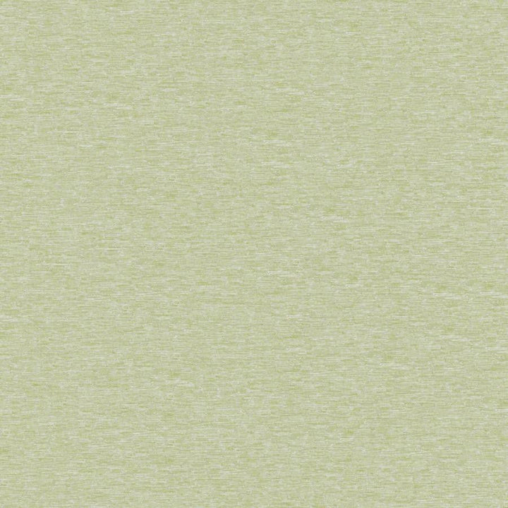 Orion(New) # 246 Pear by Maxwell Designer Fabric Blackout Ii FACE: 100% POLYESTER
BACKING: 100% ACRYLIC CHINA 55" - Swanky Fabrics -