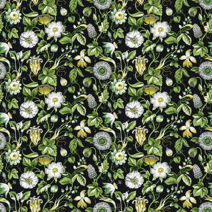 Obtuse 4 Black by Stout Designer Fabric RAINBOW LIBRARY FOG/COAL 100%COT PERU Horizontal: 27.000 and Vertical: 18.000 54 in - Swanky Fabrics -
