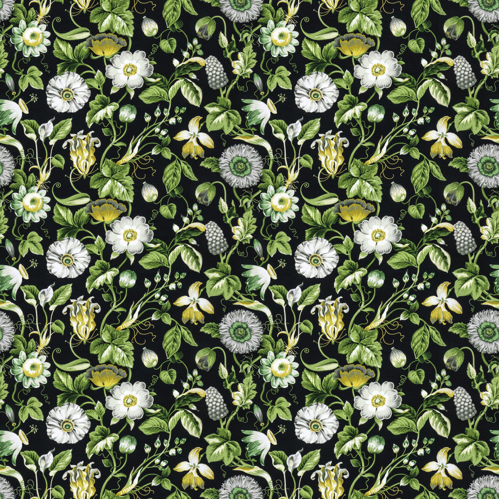 Obtuse 4 Black by Stout Designer Fabric RAINBOW LIBRARY FOG/COAL 100%COT PERU FLAME RETARDANT-U.F.A.C. CLASS 1 CATB 117-2013 WYZENBEEK 20 000 DOUBLE RUB WEAR TEST (HEAVY DUTY) </p><p>Repeat: 18 54 in - Swanky Fabrics -