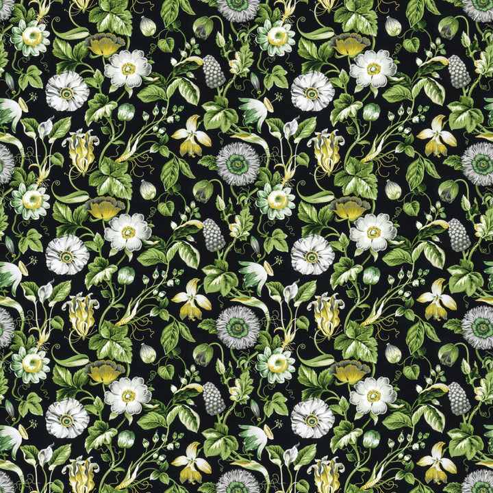 Obtuse 4 Black by Stout Fabric Stout Fabric Obtuse 4 BlackFabric RAINBOW LIBRARY FOG/COAL PERU </p><p>Repeat: H: 27.000, V: 18.000 54 in - Fabric Carolina -