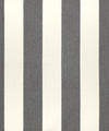 Summerland 52316 by Barrow Industries Designer Fabric